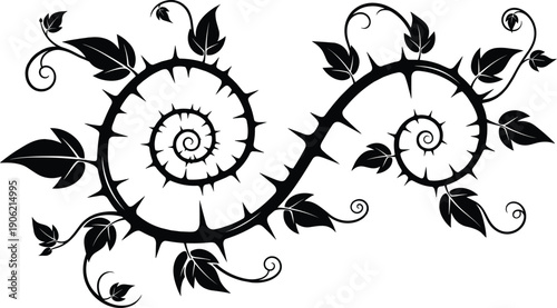 Intricate Black Thorn Vine Silhouette with Decorative Swirls and Sharp Spikes Featuring Elegant Leaf Elements and Spirals Isolated on White Background for Gothic Design