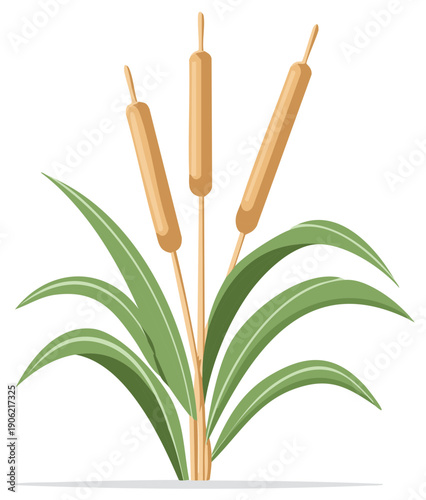 Stylized vector illustration of tall green cattail plants with brown cylindrical heads