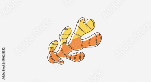 Stylized graphic illustration of a fresh ginger root vibrant colors on a clean white background
