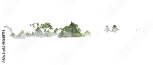 Grüner Nebelwald mit Bäumen und transparenter Kulisse für Designelemente.