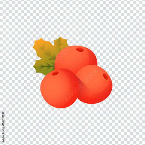 Wild Forest Berries Icon