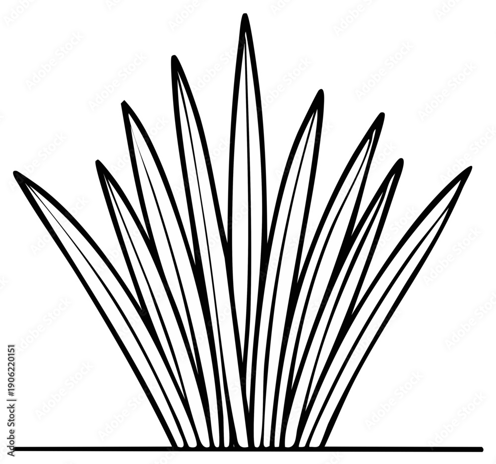 Fototapeta premium Stylized line art illustration of a clump of grass or a small plant