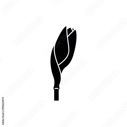 Elegant Black Silhouette of a Closed Flower Bud.