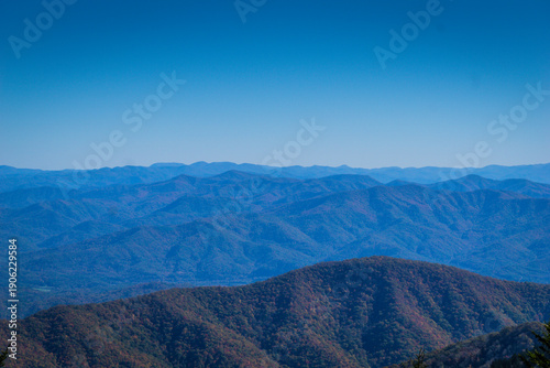 Принти на полотні The mountains are covered in trees and the sky is a beautiful blue