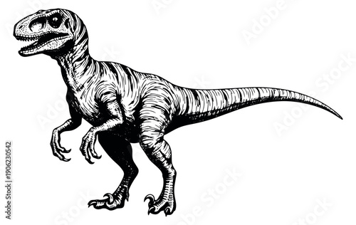 Hand drawn line art illustration of a velociraptor dinosaur depicting a predatory posture for prehistoric themes