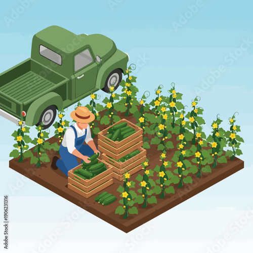 Farmer harvesting crops from a lush green field with a truck nearby.