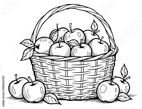 Hand drawn line art illustration of apples in a basket depicting a fresh autumn harvest for food and nature concepts
