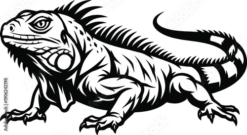 A black and white illustration of an iguana with detailed scales and spiky back
