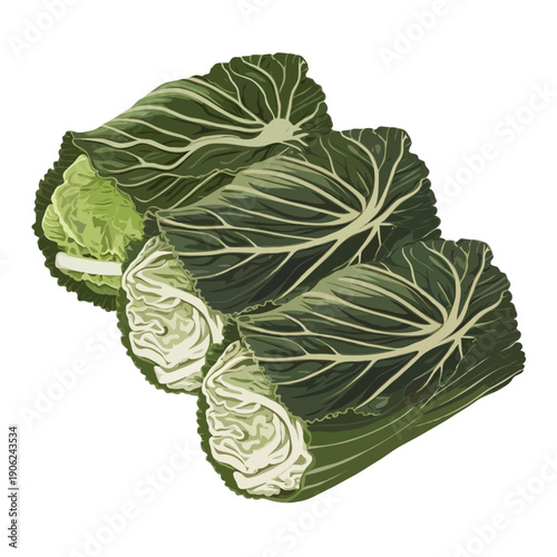 Freshly cut green vegetables tied with a string in a rustic setting isolated on white background, Vector, illustration