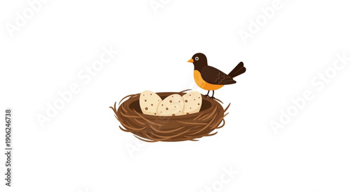 Bird standing on nest with eggs brown and orange feathers natural habitat scene