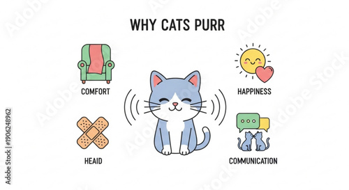 Cartoon cat purring surrounded by reasons for purring including comfort happiness healing and communication on white background