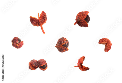 Set of dried red sichuan peppercorns whole isolated on a transparent background.