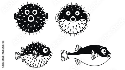 Four cartoon pufferfish illustrations show different stages of inflation.