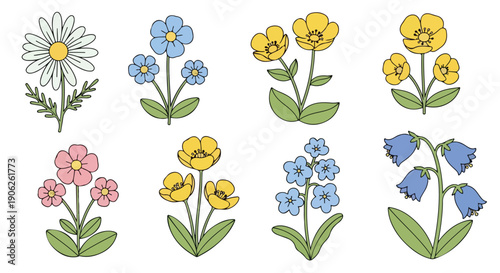 Flat lay of colorful cartoon flowers in various types and colors on a white background.