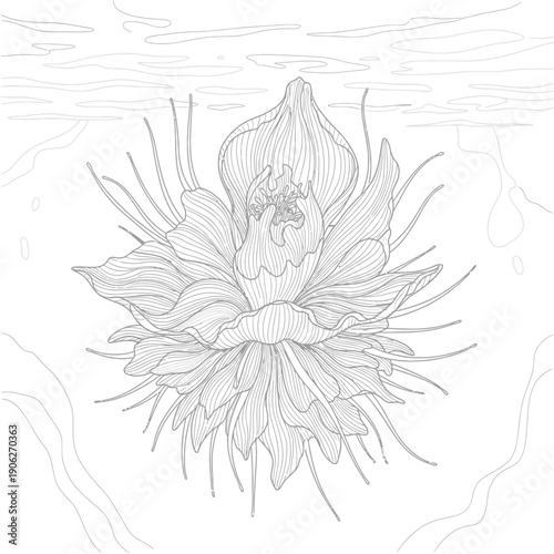 Detailed illustration of a flower 8.