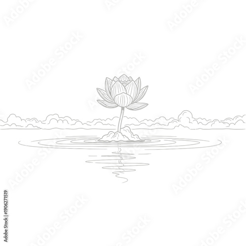 Lotus Flower in Calm Water Surface.