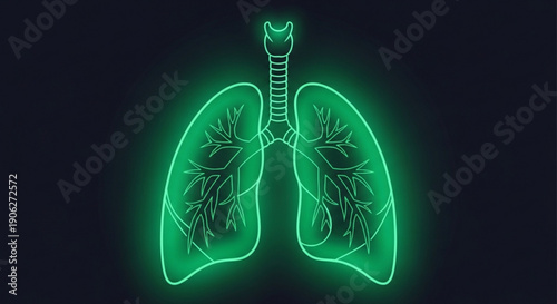 Safari animals silhouette at sunset with vibrant purple orange and yellow sky elephant giraffe and herd walking together in savannah landscape