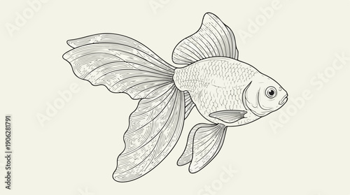Detailed illustration of a goldfish, showcasing its elegant fins and scales.