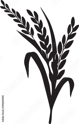 Rice Wheat Grain Plant Silhouette