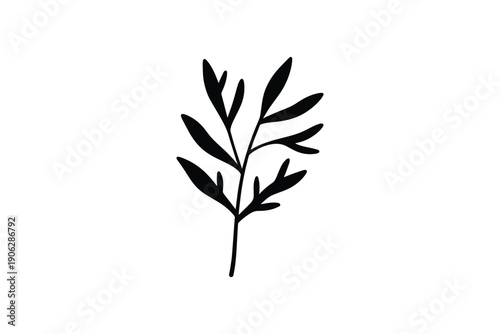 Black silhouette of a simple delicate plant branch with small leaves on a white background