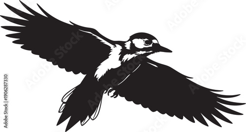 Black and white of a bird in flight flying wings spread