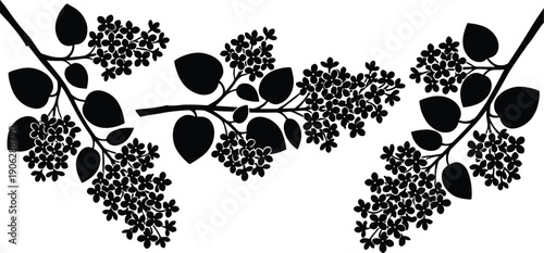 Black vector silhouette of blooming lilac flower branches with lush leaves and spring blossoms for floral nature branding wedding invitations and garden,