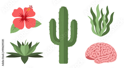 Tall Green Saguaro Cactus Illustration with Three Arms and Sharp Spines.