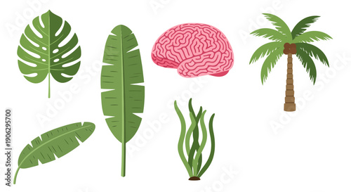 Vibrant Flat Vector Illustrations of Tropical Plants Seaweed and Human Brain.