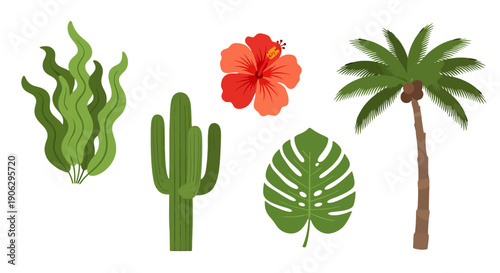 Vibrant illustrated tropical and desert plants red hibiscus green palm monstera leaf cactus seaweed.