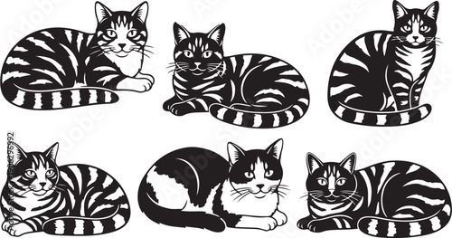 Set of black and white cats sitting together