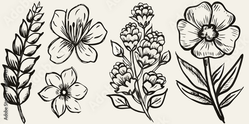 Vintage botanical illustration featuring various wildflowers and foliage