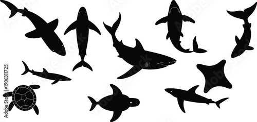 Marine animal silhouettes set, sharks turtles dolphins starfish ocean wildlife, underwater sea creatures collection, black isolated vector illustration