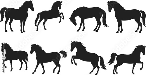 Horse silhouettes collection, running walking standing equine poses, majestic animal motion, farm wildlife illustration set, vector icons isolated design