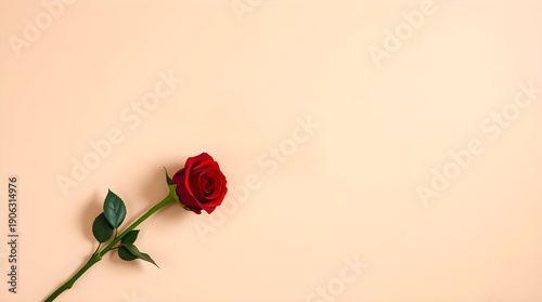 Single Elegant Red Rose on a Minimalist Peach Background for Romantic Greetings