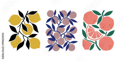 Set of Minimalist Fruit Branch Illustrations with Lemons Oranges and Berries