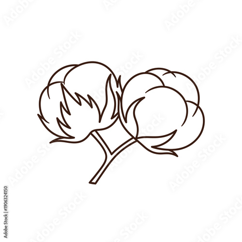 A simple line drawing of two cotton bolls on a stem against a white background.