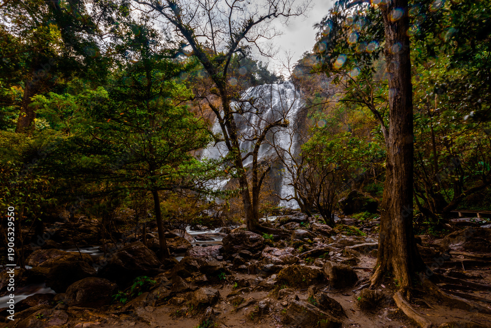 Obraz premium The natural backdrop of a waterfall in a deep forest or a reservoir by a stream, the beauty of the ecosystem, the green forest, the cool air during an adventurous trip.