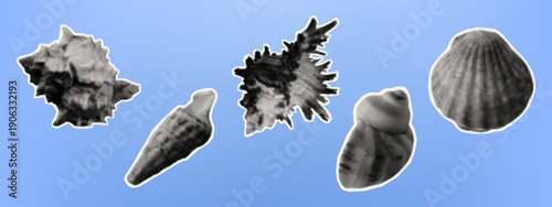 Seashell on a card for decoration. Mediterranean set of paper cutout stickers for collage. Underwater world, a variety of shells for scrapbooking. Vector illustration, contemporary halftone art.