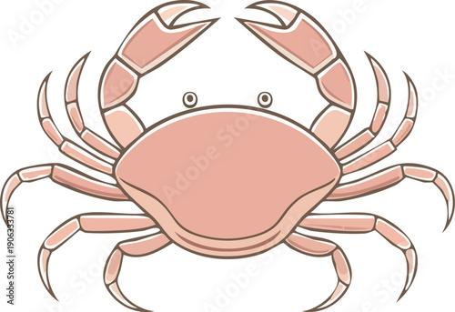  Crab outline icon, symmetrical shape, thin stroke vector.