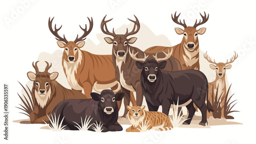A cute cartoon illustration of a set of different wild deer, including a reindeer and elk with antlers, isolated on white for Christmas wildlife and nature vector designs