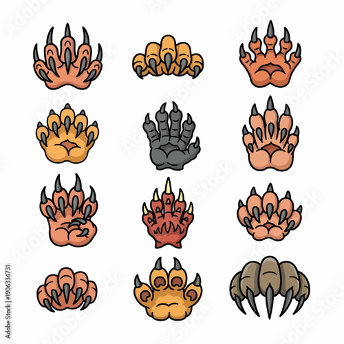 A collection of various animal paws with sharp claws