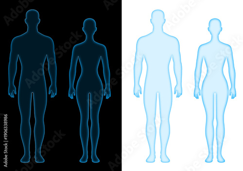 Cuadro en lienzo Body Shapes or Silhouette Male Female Digital Blue Glowing Human Futuristic Tech