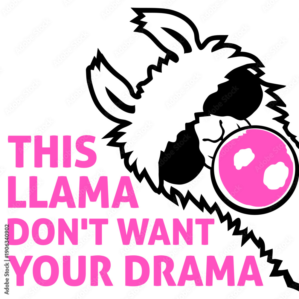 Fototapeta premium This Llama Don't Want Your Drama Bubblegum Bubble Chewing Cool Sunglasses Alpaca White Fur Funny