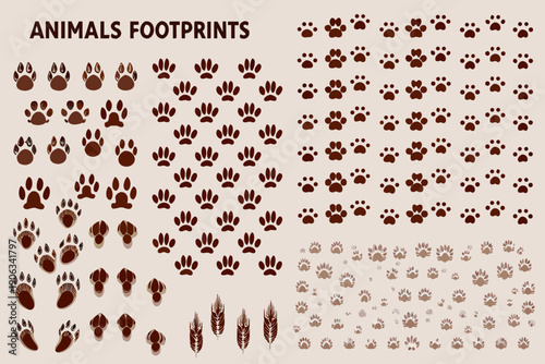 Collection of various animal footprints and paw prints displayed in rows