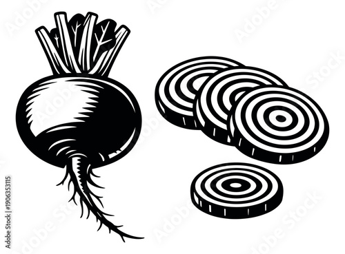 Hand drawn line art vegetable set featuring a whole beet and sliced beets for healthy food concepts