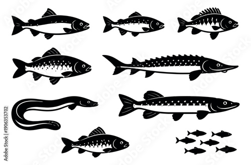 Graphic line art fish set featuring sturgeon, pike, eel, and other common species for fishing, seafood, and aquatic designs