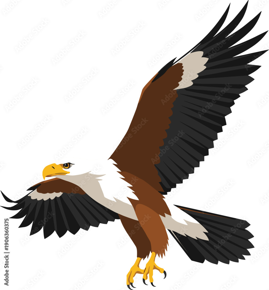 Fototapeta premium Detailed hand drawn vector illustration of a majestic peregrine falcon bird of prey with brown speckled feathers standing alert and isolated on a white