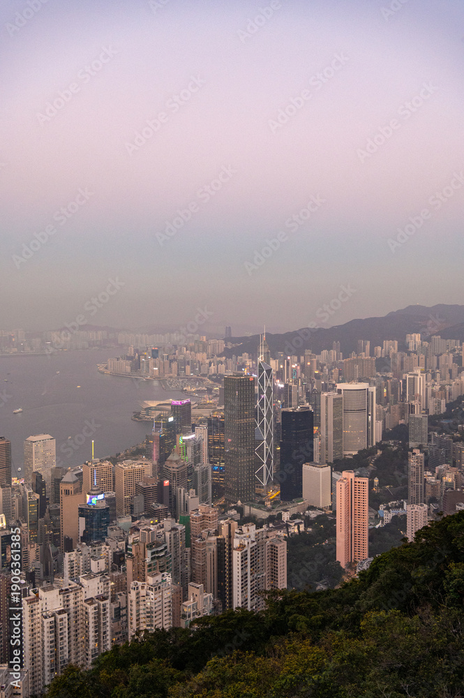 Fototapeta premium ヴィクトリアピークからの夕景