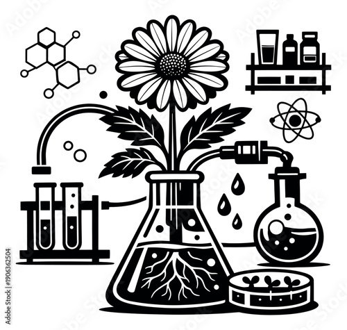 Graphic line art science and biology icons set featuring a daisy growing in a flask, molecular structures, lab glassware, and an atomic model for botanical research and education