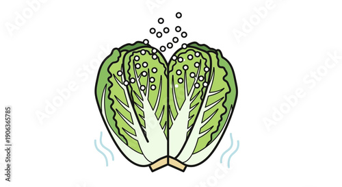 Vector illustration of a halved head of lettuce being washed or sanitized with water spray, symbolizing vegetable cleaning and food hygiene before consumption